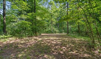 1125 39th St, Allegan, MI 49010