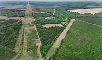 17668 Flatwoods Rd, Altha, FL 32421