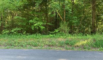 Horner Hollow Road, Birchwood, TN 37308