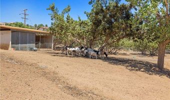 6324 Quail Rd, Agua Dulce, CA 91390