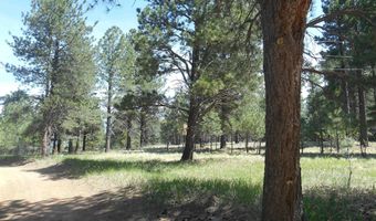 Lot 7, Angel Fire, NM 87710