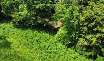 00 Tbd Long Shoal Br, Beattyville, KY 41311