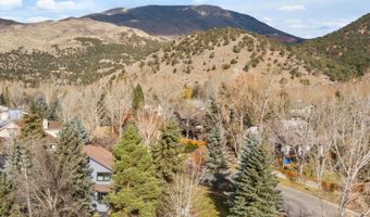 1018 Lauren Ln, Basalt, CO 81621