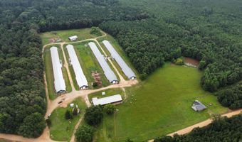 1613 N Bradley 8 Rd, Banks, AR 71631