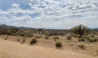 000 MONTERE, Dolan Springs, AZ 86441