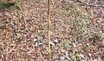 4814 NW 244 Ave, Alachua, FL 32615