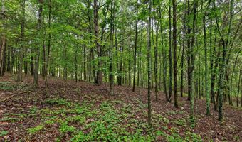 12712 Cranfield Rd, Birchwood, TN 37308