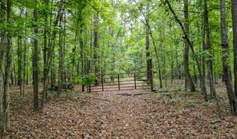 115 Smith Island Trl B, Bonneau, SC 29431