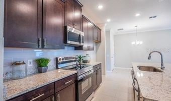 16741 NW 176TH Ter, Alachua, FL 32615