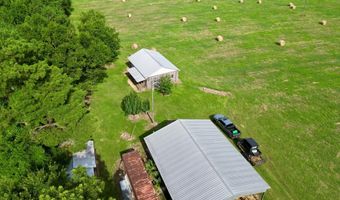 County Road 127, Banks, AL 36005