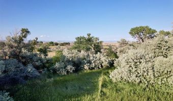 4439 Spring Rd, Basin, WY 82410