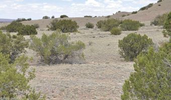 88 B County Road 5035, Concho, AZ 85924
