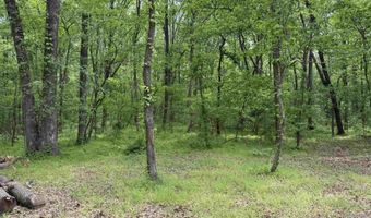 Tract 1 East Bay Road, Atkins, AR 72823