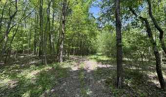 V/L 43.5A 104th Avenue, Allegan, MI 49010