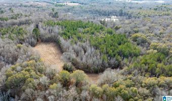 BRUSH CREEK DRIVE, Akron, AL 35441