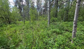 4585 E 1400 N, Ashton, ID 83420