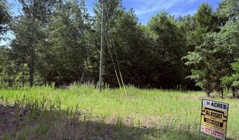 5827 Reynolds Rd, Blackville, SC 29817