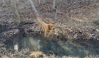 MOUNTAIN CUT RD lot D, Appomattox, VA 24522