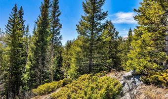 270 Co Rd 667 Lot 0, Alma, CO 80440