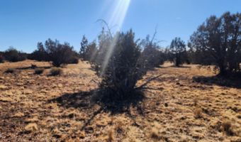251 Se4 Juniperwood Rnch, Ash Fork, AZ 86320