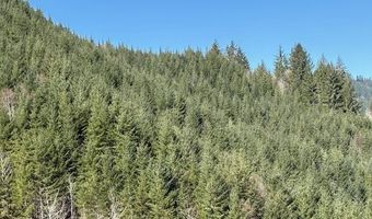 Logsden Rd, Blodgett, OR 97326