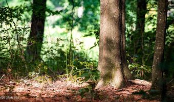 Cypress Pointe Drive lot 10, Brooksville, MS 39739