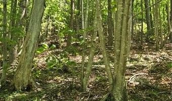 Goose Creek Lane, Ararat, VA 24053