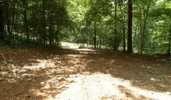 8 63ac Gravely Hill Rd, Bethpage, TN 37022