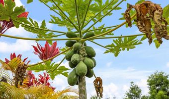15-1635 BEACH Rd, Keaau, HI 96749