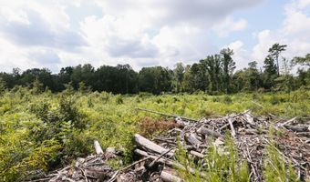 2778 SW Big Creek Dr, Bogue Chitto, MS 39629