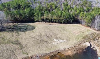 46088 HIGHWAY 77 Lot 0, Ashland, AL 36251
