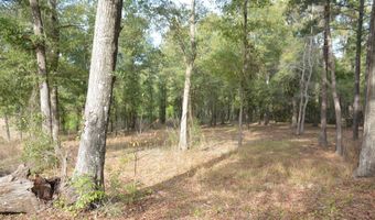 TBD Meriwether Road, Enterprise, AL 36330