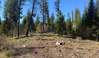 Urban Lane lot 5, Cascade, ID 83611