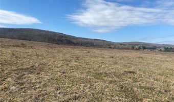 4005 Cr-2, Angelica, NY 14709