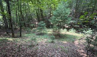 Hall Hollow Road, Austinville, VA 24312