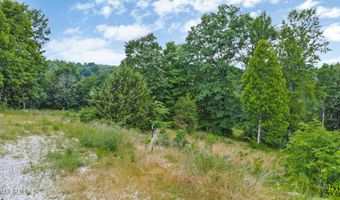 Hidden Cove Lane, Allons, TN 38541