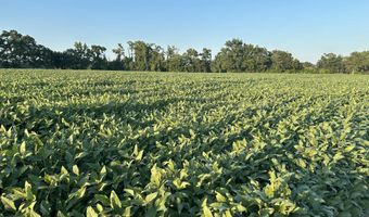 00 Nc N 903, Albertson, NC 28508