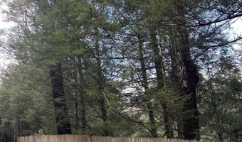 239 Sundale Rd, Accord, NY 12404