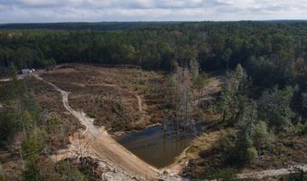 0 Progress Road Rd, Beaumont, MS 39423