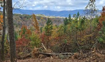 125 Ahart Ridge Rd 163, Ararat, VA 24053