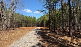 MOUNTAIN CUT RD lot A, Appomattox, VA 24522
