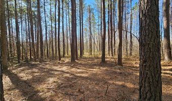 13 Acres Pridesville Rd, Amelia, VA 23002