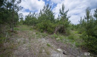 Phillipsville Road, Bay Minette, AL 36507