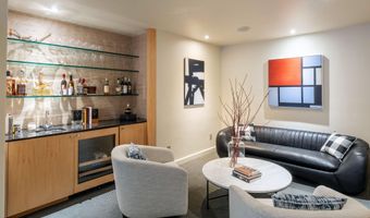 506 W Hallam St, Aspen, CO 81611
