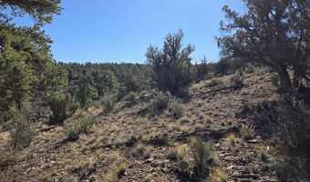 133 Arizona Rd, Ash Fork, AZ 86320