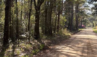 Old Faceville Rd lot # 4, Bainbridge, GA 39819