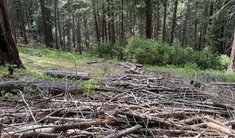 3129 Crystal Way, Arnold, CA 95223