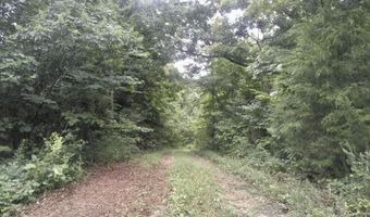 00 Coal Branch Rd, Beattyville, KY 41311