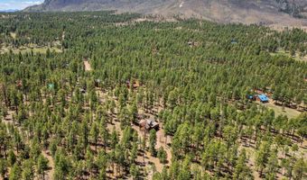 2 Co Rd N2147, Alpine, AZ 85920
