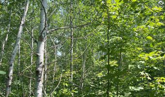 26 Acres Hilltop Kelso, Crystal Falls, MI 49920